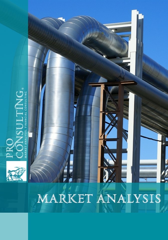 Market research report on pipe products of the Customs Union countries. 2014